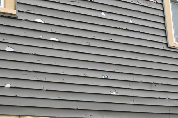 Best Vinyl Siding Installation  in Metropolis, IL