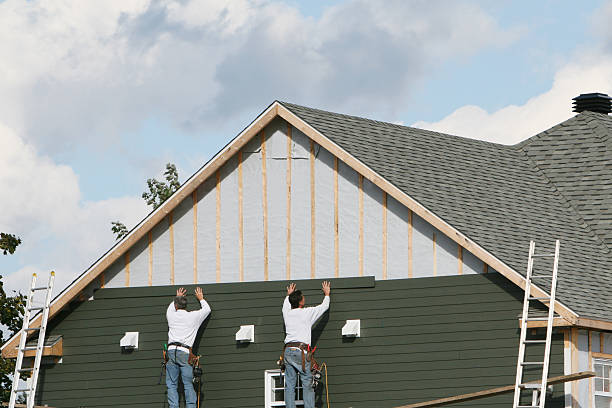 Best Siding Painting and Refinishing  in Metropolis, IL