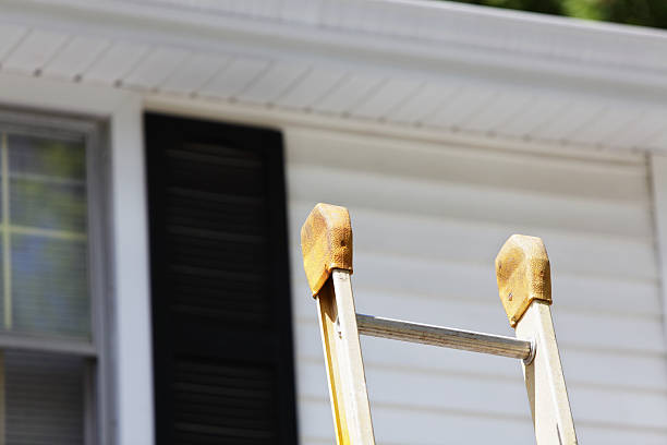 Best Vinyl Siding Installation  in Metropolis, IL