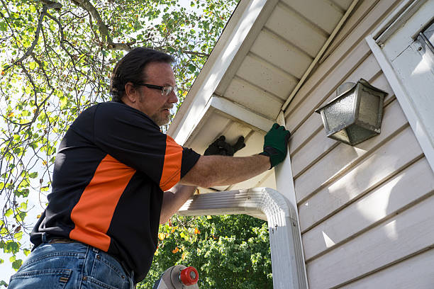 Affordable Siding Repair and Maintenance Services in Metropolis, IL